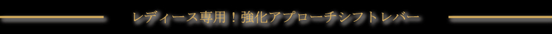 ���f�B�[�X��p�I�����A�v���[�`�V�t�g���o�[