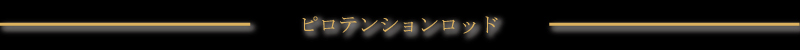 �s���e���V�������b�h