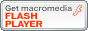FLASH PLAYER��GET�������͂����炩��!!